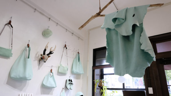 2026年1月　店内ラムネギャラリー